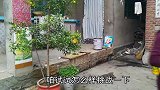 农村婆婆想吃啥？儿媳做了给婆婆吃，婆婆直说好吃