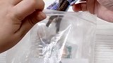 再见啦小可爱宠物 仓鼠 萌宠 宠物鼠