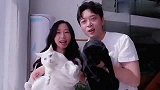 烧肉配酒，越喝越有！【白鹿爱逛吃】日式烧肉店吃到撑~