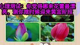 心理测试：你觉得哪束花蕾最漂亮，测你啥时候迎来黄金阶段