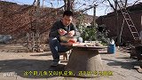 阿远干烧两袋子“耗儿鱼”，大伯第一次吃这鱼，说鱼刺少，吃着好