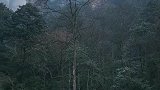 坐标张家界国家森林公园金鞭溪，86年版西游记外景拍摄地