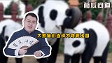 旅日香香已归国，旅美丫丫备受关注，当初为何要送大熊猫出国？