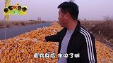 舌尖上的东北：这是真正的东北特色美食？五常稻花香