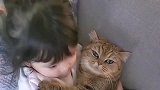 小主人天天抱着小猫咪不放，网友：放开，让我来！