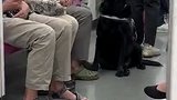 好温暖！导盲犬被乘客抚摸后露出开心笑容