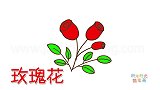 植物简笔画大全，画漂亮的红玫瑰简笔画