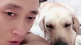 赛文生病了主人喊它也不理，看赛文的样子让人心疼，快点好起来哦