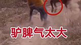 大爷，来来来伴娘上我的车吧