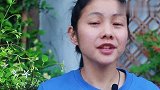 四月份养花不好这件事，一年都白瞎！