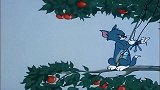猫和老鼠：汤姆和杰瑞两人争斗，无辜大狗野餐惨遭牵连
