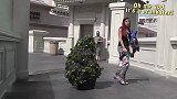 树人恶作剧，假扮树人在路中间吓路人，路人防不胜防