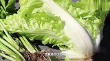 过节我们都是这样炒鸡肉的，跟你们一样吗