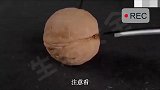 小伙将其貌不扬的核桃变废为宝！这做出来的成品价值连城太惊艳了