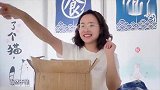 铲屎官终于向现实妥协！大铁门锁死，猫：终究是错付了