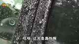 爆笑：大兄弟，活着确实也没啥用了，太难了