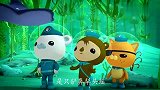 海底小纵队：巴克队长来到巨藻林，逢人便问，像极了小蝌蚪找妈妈
