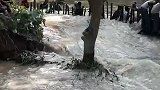 直击印度洪灾现场：冲毁堤坝冲走汽车 冲出水泽使636万人受灾