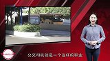 为什么公交公司招不到司机