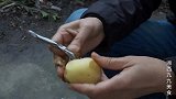湘西九九，九九做红烧土豆，土豆三十颗，只为吃一个