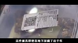 三星堆上新了：又一件金面具残片，轮廓清晰，可谓是考古界的奇迹