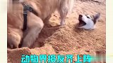 千防万防，身边的那些损友，是真的防不胜防