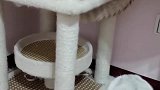 二愣子：你俩没一个好东西！