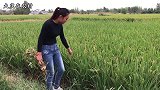 农村媳妇家盖新房，媳妇预计花多少钱装修？小伙：这么少