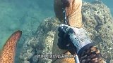 小伙亲手捕捞巨型鳗鱼，下刀快准狠，2分钟处理5条鱼，太过瘾了