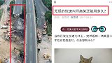 中学老师2年前发文担忧无锡高架：看到这次事故非常心痛