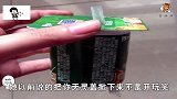 爆笑：驴唇不对人嘴，大哥怕不是脑子有病吧