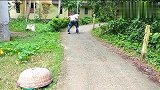 印度农村搞笑段子,看到第一个我就笑