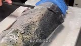 大叔切三文鱼，刀一下手纵享丝滑，最厚厘米，食客师从新东方吧
