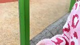 投喂小动物的过程能有多快乐，这也太治愈了吧