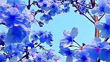 此花是什么花？如此妖娆