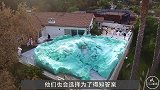 老外将一颗弹力球，从180米高空扔下，落地一瞬间惊艳全场！