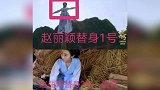 赵丽颖拍戏用34个替身就算了，连海报都用替身，网友当我们瞎吗
