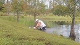 美国佛罗里达州：是个狠人！一男子鳄鱼口中救出宠物狗
