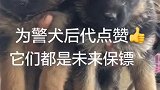 这波操作稳了