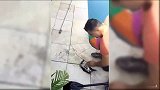 爆新鲜-20170114-人工呼吸加气泵 男子奇迹般地救活一只鸟