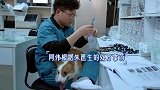 宠物医院1，好尴尬，名叫大猫的柯基犬出现咳嗽，还吐痰