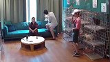 当夫妻俩因为选狗子而起了争执后