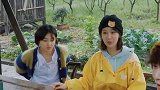 杨紫为张艺兴算女人缘，算出自己喜欢张艺兴，张艺兴笑的一脸憨