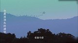 古墓派：太上皇赵构为了钱财，取消了收服中原的计划