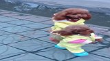 哎看到了什么两个汪星人采蘑菇去了