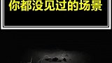 这辈子你都没见过的场景，很震撼和有趣