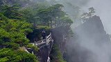 我见青山多妩媚，料青山，见我应如是