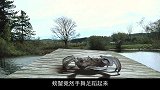 小孩捡个螃蟹当宠物，结果螃蟹变异，长得比卡车还大，高能科幻片