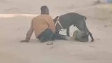 黑狗咬住男子的腿，众人纷纷上前解救