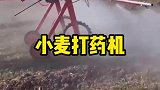 小麦打药机，小型农药机械